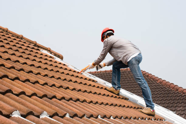 Best Chimney Flashing Repair  in Princeville, HI